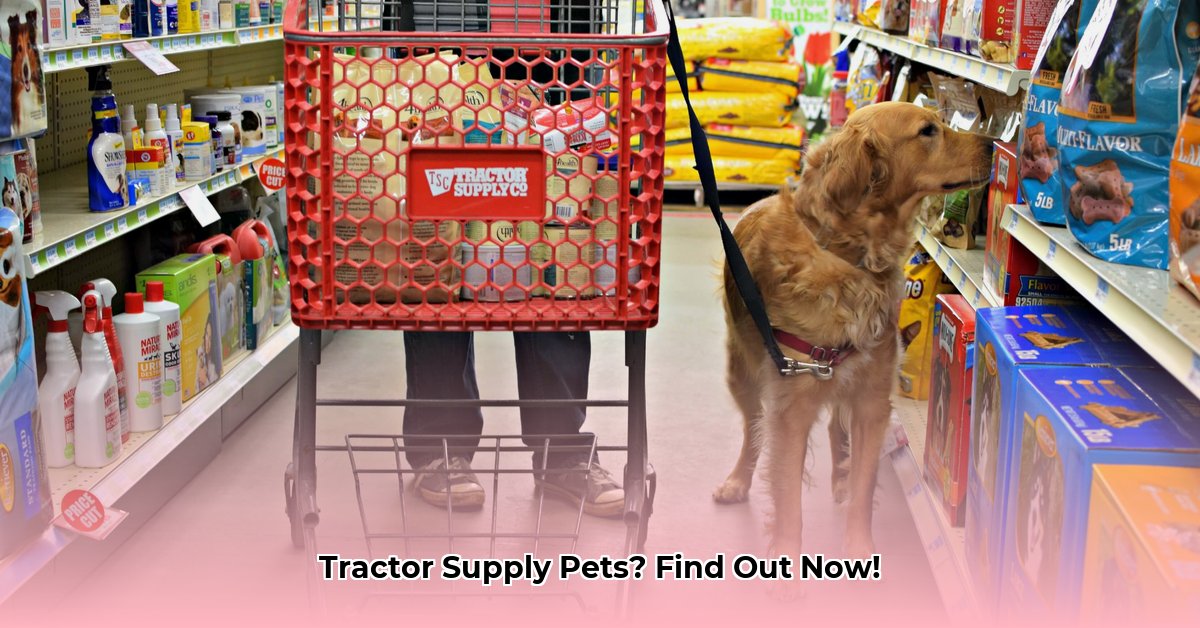 can-you-bring-pets-into-tractor-supply
